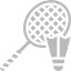 Badminton Court
